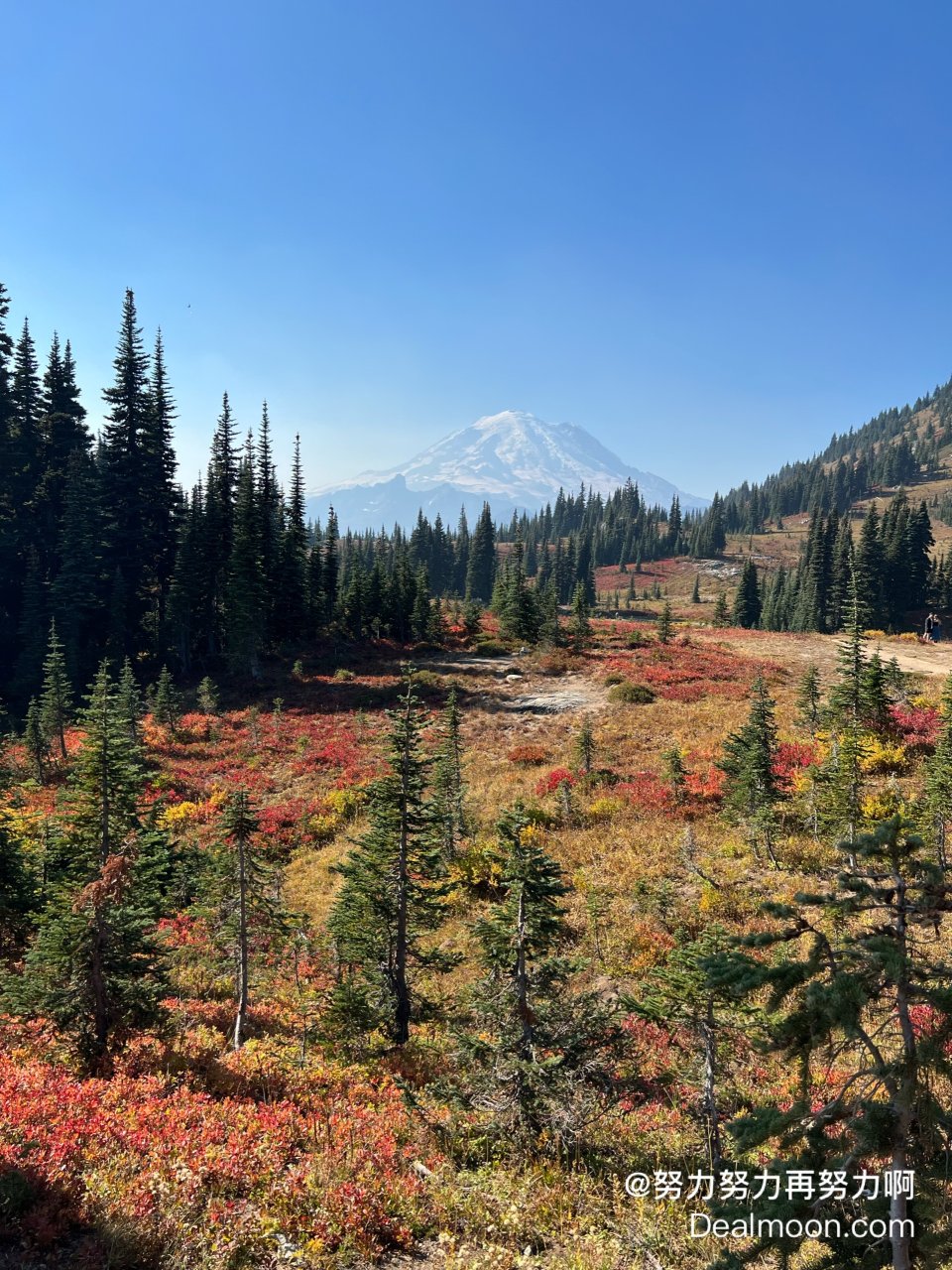 西雅图风景绝美的赏秋trail🍁好爬不累...
