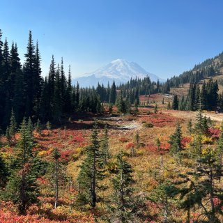 西雅图风景绝美的赏秋trail🍁好爬不累...