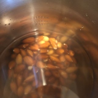 5分钟豆浆机做杏仁奶almond mil...
