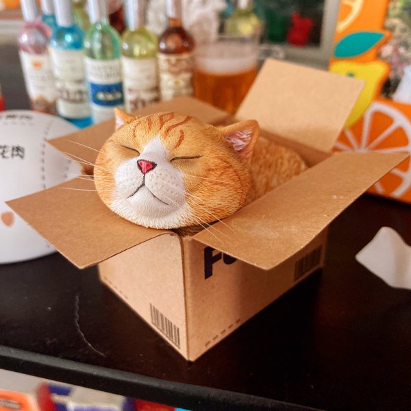 晒货图片