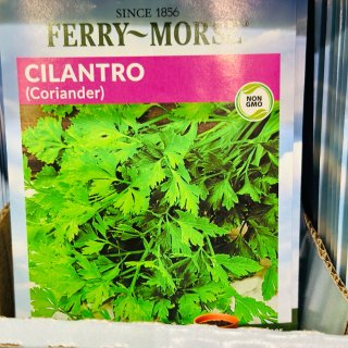 又买了种子🌱几款适合自己发芽的herbs...