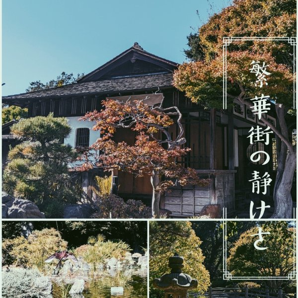 晒货图片
