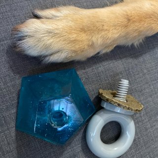 PetSafe Jewel Pop Treat Holding Dog Toy, Medium : Pet Supplies
