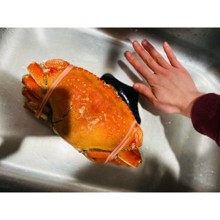 美食｜2.5磅的太平洋珍宝蟹好吃不...