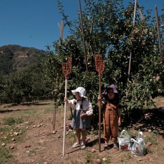 南加州|最古老的苹果园Los Rios ...