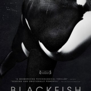 推荐一部纪录片 | Black Fish...