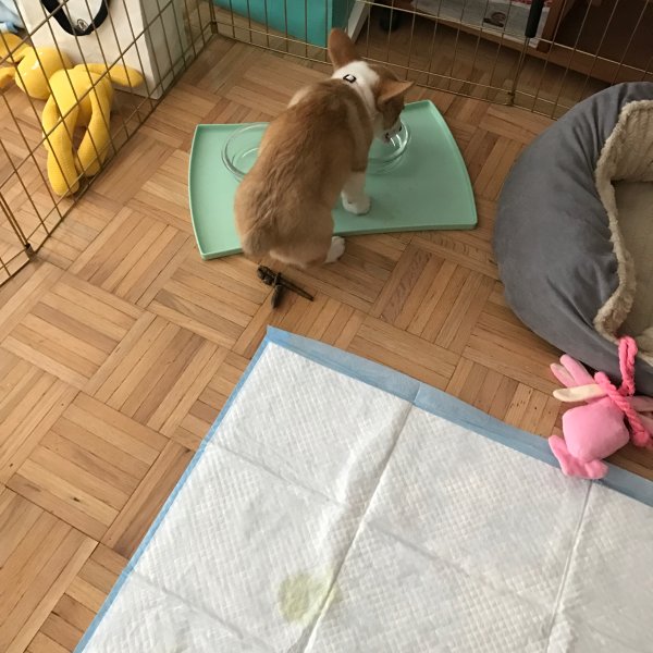 晒货图片