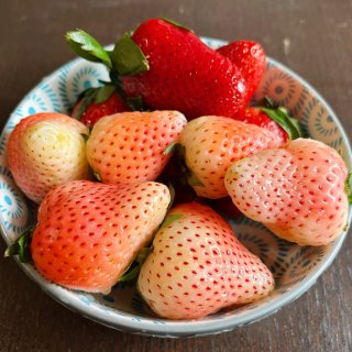 三月有幸事5️⃣Weee草莓...