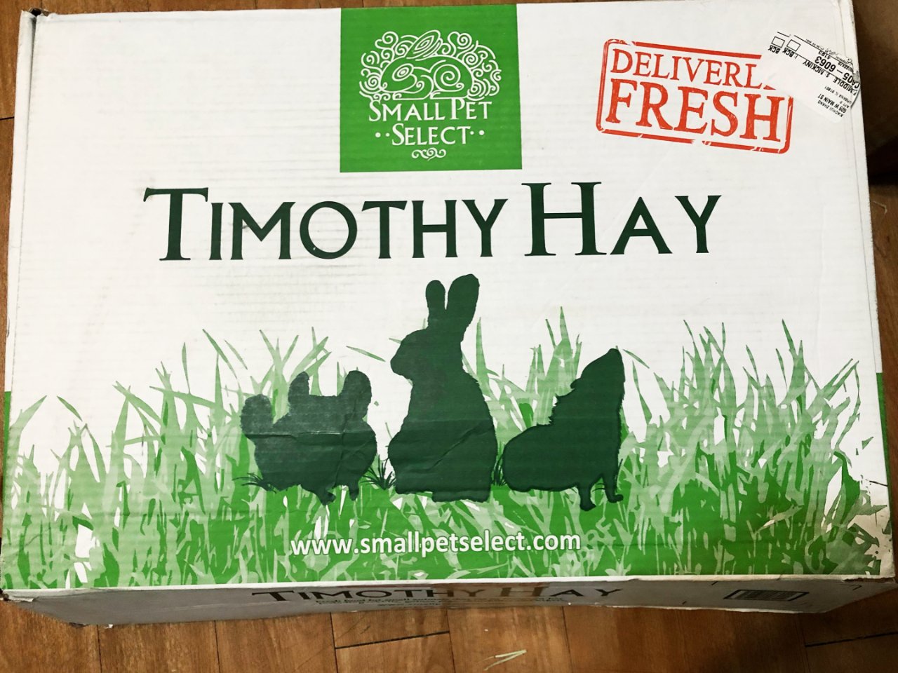 2nd Cutting Timothy Hay - Leafy with Soft Stem - Small Pet Select U.S.