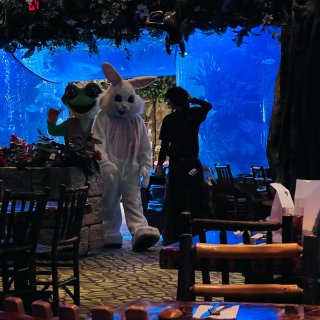 【复活节和Bunny的早餐】不仅有兔子还...