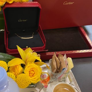 最近大爱的一条Cartier项链...