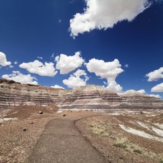 Petrified Forest Nat...