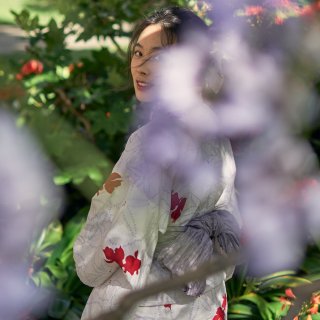 春日紫色限定💜校园里的紫藤瀑布｜湾区摄影...