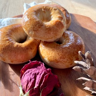 Davis Square Hand Crafted Donuts & Bagels - 波士顿 - Somerville
