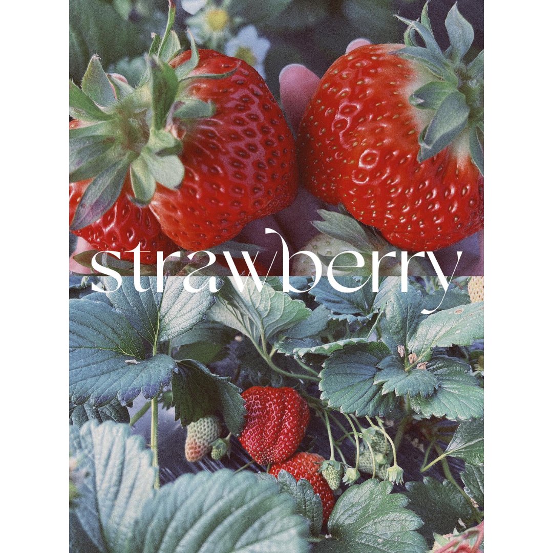 🍓摘草莓照片怎么拍？📷排版、滤镜...