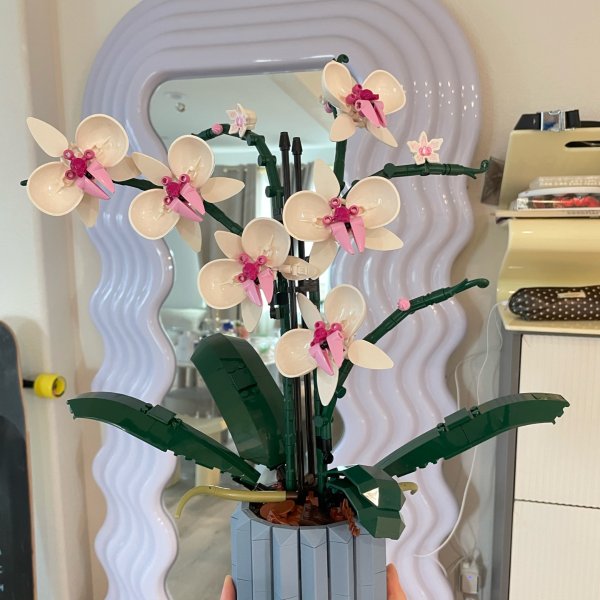 晒货图片