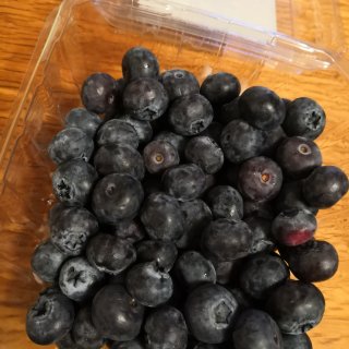 有机蓝莓