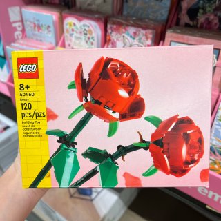 Aldi Finds ｜ 花花Lego...