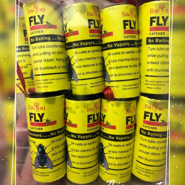 *打卡第四天*推荐实用抓虫神器