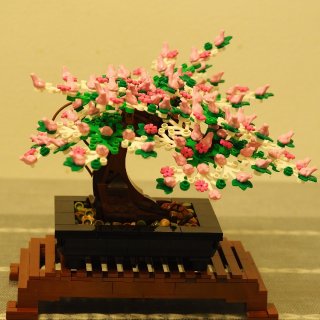 乐高的盆栽树(Bonsai Tree)，...