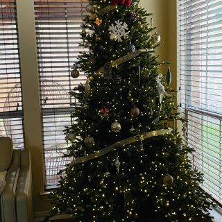 Costco的🎄圣诞树yyds！...