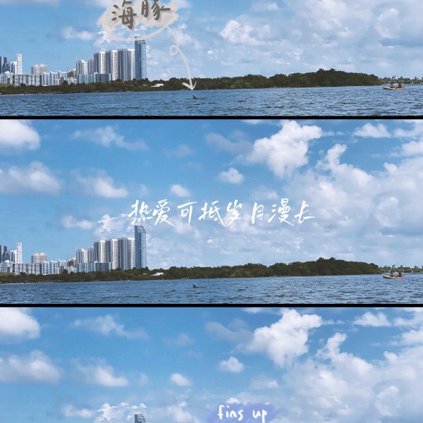 晒货图片