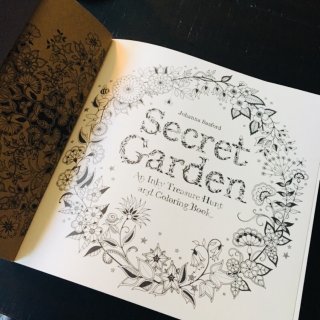 Secret Garden 秘密花园,coloring books