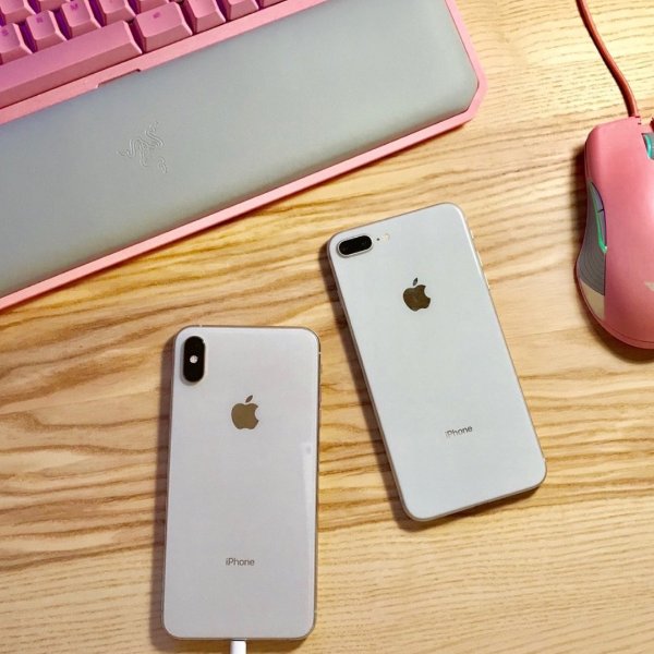 晒货图片