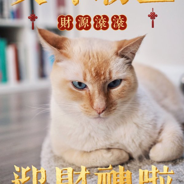 晒货图片