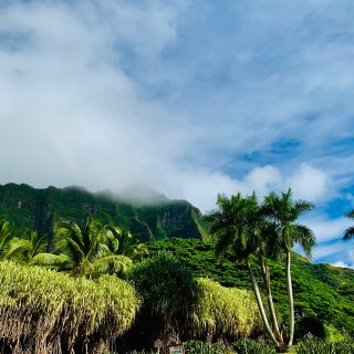 旅行记忆 | 回忆美丽的夏威夷Oahu岛...