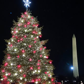 🎄国家圣诞树🎄...