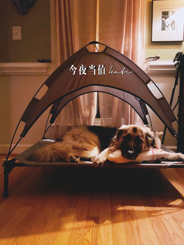 时常撒娇<br />
适当服软<b...