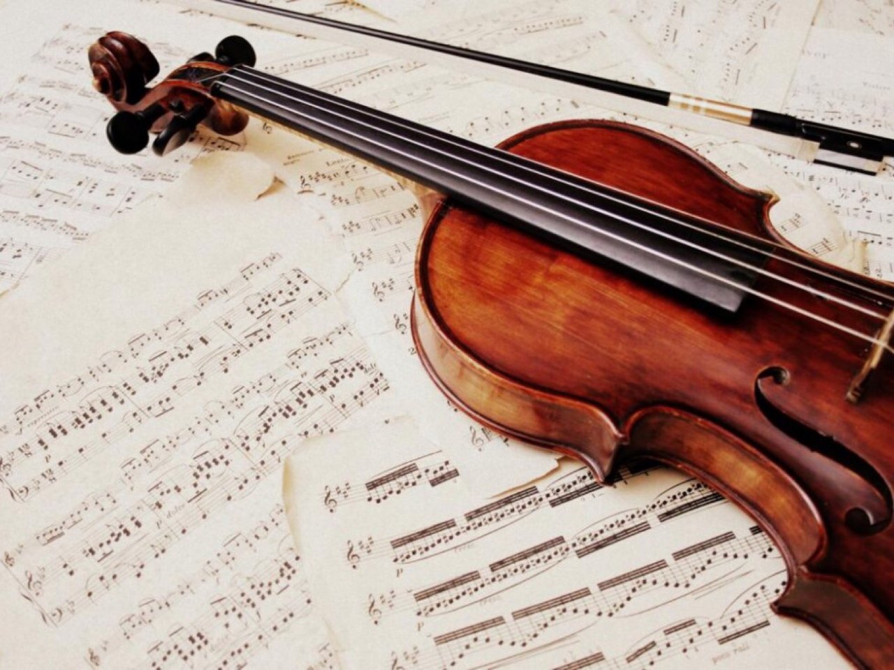 ✨小提琴🎻