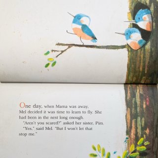 凯迪克英文绘本 | 勇敢尝试的小翠鸟...