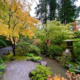 波特兰日式花园 追一场浪漫晚秋...