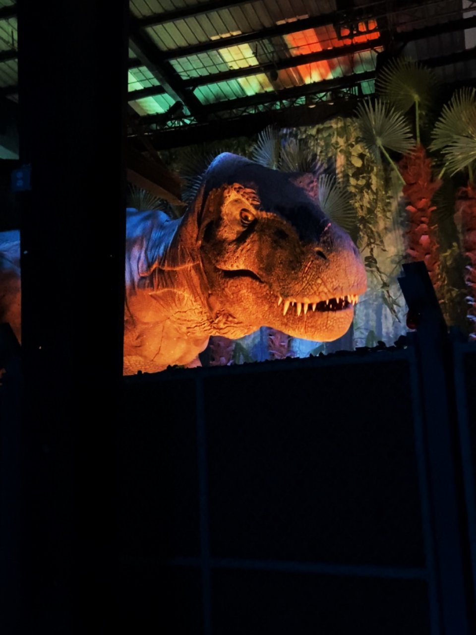 亚特兰大室内遛娃 | 去侏罗纪世界看恐龙...
