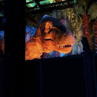 亚特兰大室内遛娃 | 去侏罗纪世界看恐龙...