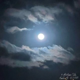 超級月亮｜夏威夷不一樣的天空 · 阿拉莫...