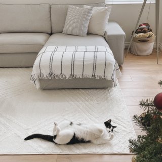 選購地毯為居家軟裝加分✨...