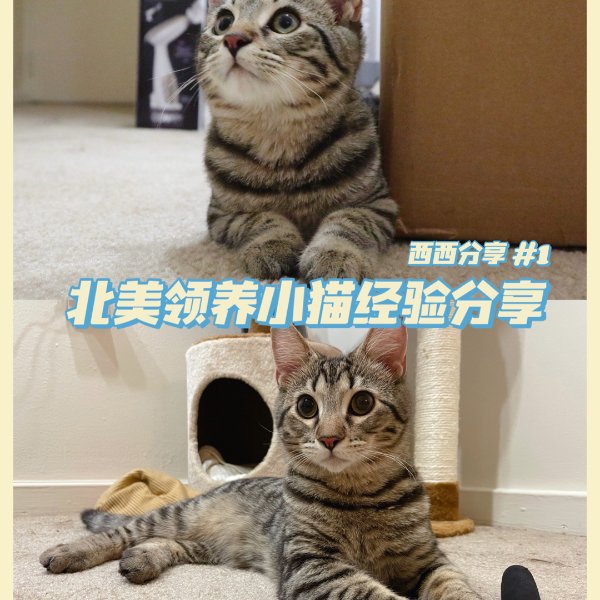 晒货图片