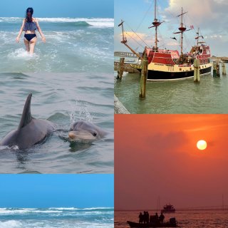 德州最南端的小众海滩，看海豚，吹海风，吃...