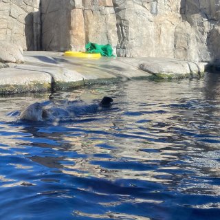 Monterey Bay Aquariu...