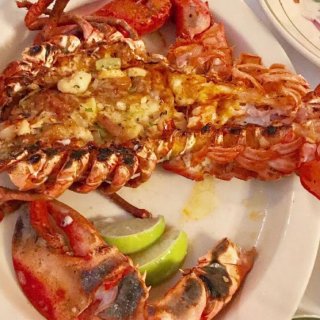 迈阿密百年老店｜stone crab...