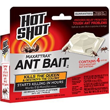  MaxAttrax Ant Bait, 4-Count @ Amazon
