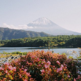 谁能凭爱意要富士山私有...
