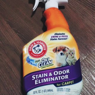 清洁猫污渍和气味消除器地毯...