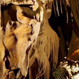 肯塔基猛犸洞穴国家公园｜世界最长的洞穴｜...