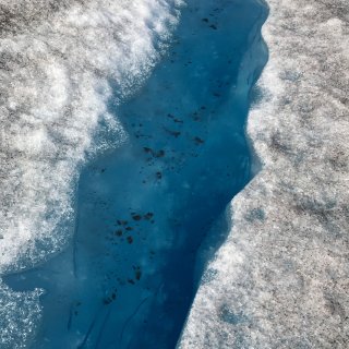 阿拉斯加旅游之🚁徒步Taku冰川...