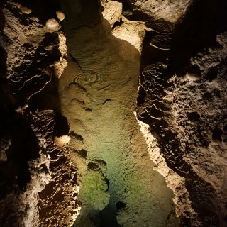 旅行日记·Carlsbad洞窟国家公园·...