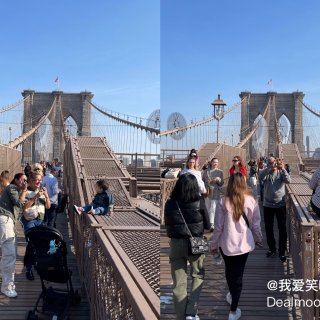 春游好去处👉雄伟壮观的布鲁克林桥👍...